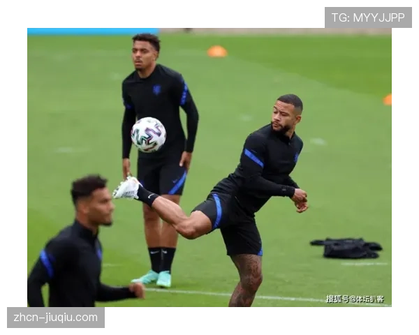 荷兰与意大利中卫人员老化问题成赛前焦点