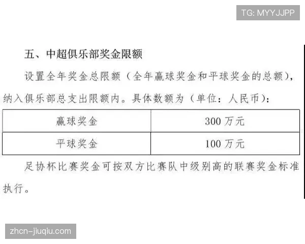 罗马俱乐部因财务违规被意大利足协处以罚款